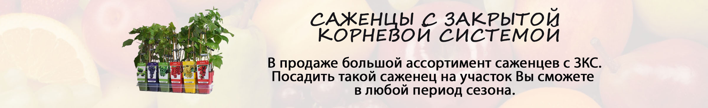 zks