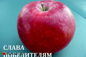 slava pobeditelyam